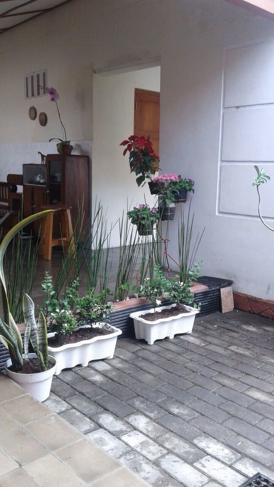 Pamularsih Homestay Yogyakarta Exterior photo